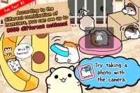hamster collection Screen Shot 4
