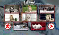 Kitty Puzzles Screen Shot 3