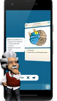 Einstein Тренировка для ума Screen Shot 7