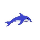 Jumpy Dolphin