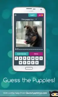 Guess the Puppies! Screen Shot 0