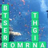 Word Puzzle cross word game