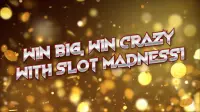 Slot Madness Screen Shot 3