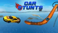 Car Stunts 3D Screen Shot 1