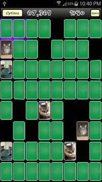 Match Cat Screen Shot 5