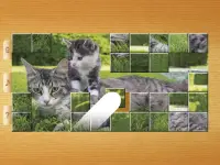 Cat Puzzles - Drag & Swap Screen Shot 20
