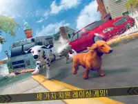강아지 시뮬레이터 2017 . 개 동물 레이싱 게임 Screen Shot 4
