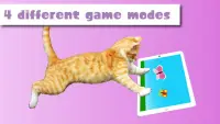 HappyCats Spiele für Katzen Screen Shot 2