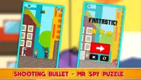 Shooting Bullet - Mr Spy Puzzle Screen Shot 0