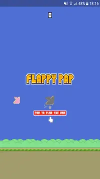 Flappy Pap Screen Shot 0
