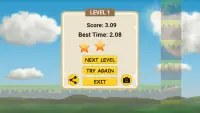 Bird Flying School - Obstacle Course Screen Shot 3