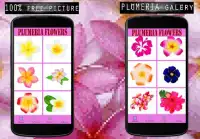 Plumeria Flowers Color By Number-Pixel Art Screen Shot 5