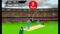 I P Lead Cricket Screen Shot 3