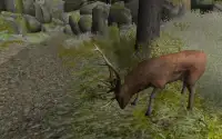 Wild Deer Sniper Hunter 2016 Screen Shot 4