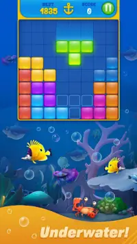 Save Fish - Block Puzzle Aquarium Screen Shot 2