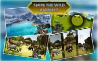 Jungle Sniper Hunter 3D Screen Shot 2