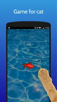 Jeu pour chat et chien | poisson Screen Shot 1