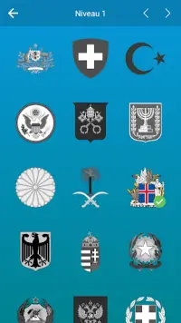 Vlaggen van de wereld en emblemen: Raad het land Screen Shot 3