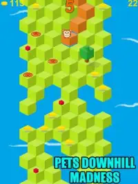 Pets Downhill Madness - Game Screen Shot 7