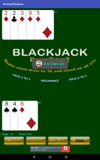 Winning Blackjack Screen Shot 21