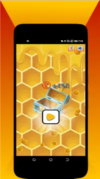 Trap The Bee: Fill Beehive Screen Shot 3
