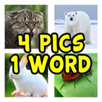 Guess The Word: 4 Pics 1 Word