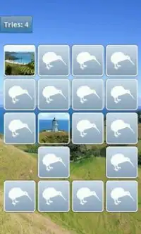 New Zealand Memory Game Screen Shot 1