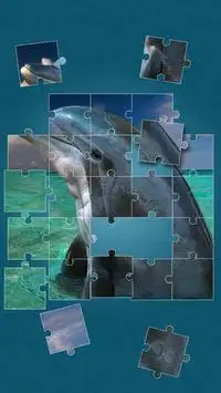 Dolphins Jigsaw Puzzle Screen Shot 8