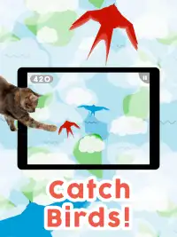 Games for Cats! - Cat Fishing Mouse Chase Cat Game Screen Shot 2
