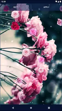Spring Rose Live Wallpaper Screen Shot 6