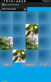 Medicinal plants - memory game Screen Shot 2