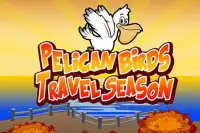 Pelican Birds Travel Season Screen Shot 5
