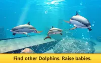 Dolphin Simulator: Sea Quest Screen Shot 2