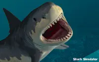 Shark  World Simulator Hungry Attack Screen Shot 4