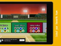 Cricket World Cup Mini Screen Shot 11