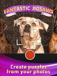 Fantastic Jigsaw Puzzles Screen Shot 8