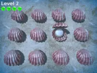 Sea Shell Game Screen Shot 3