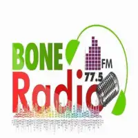 BONE RADIO Screen Shot 0