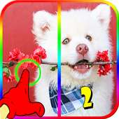 Spot 5 Differences Pictures Game