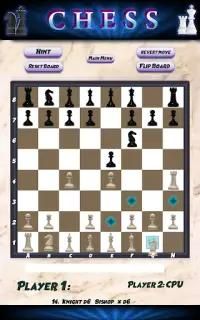 Chess Dasher Screen Shot 1