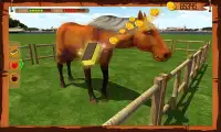 Horse Show Jumping Challenge Screen Shot 3