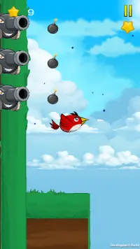 Rapid  Bird Screen Shot 4