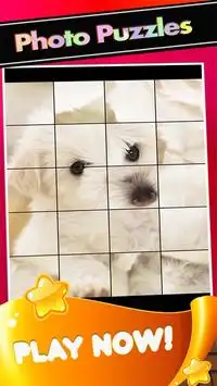 Puppies Pictures-Puppy Dogs Puzzle Game Screen Shot 3