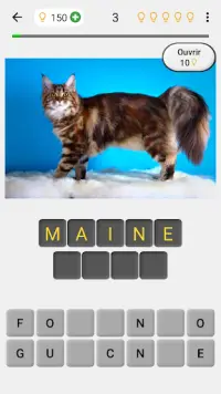 Chats e chattes - Quiz sur les races populaires Screen Shot 0