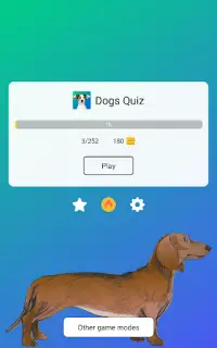 Dog Quiz: Guess the Breed — Game, Pictures, Test Screen Shot 12