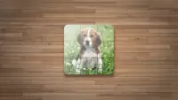 犬ジグソーパズル - 犬のゲーム Screen Shot 0
