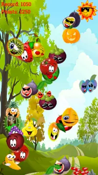 Fruit Catch Free Game Screen Shot 2