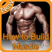 How to Build Muscule ?