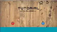 Catch Blue Ball 2D Swipe Game Screen Shot 0