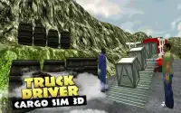 Truck Driver Cargo Sim 3D Screen Shot 5